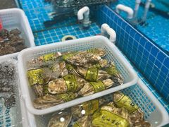 -美达尔烧烤(大尧三路店)