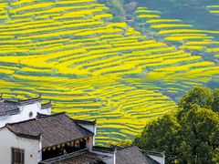 -篁岭景区