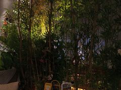 -施奈儿.洗头頭療.按摩SPA.采耳(上梅林店)