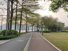 -顺峰山公园