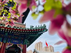 -天津大悲禅院