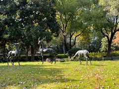 -浙江省杭州高级中学(贡院校区)