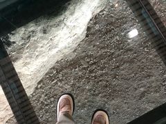 -鸿山遗址博物馆