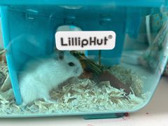 -龙猫仔乐园(惠福东路店)