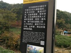 -北仑森林植物园