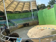 -大连森林动物园