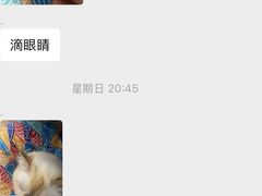-半岛宠物医院24小时(科华中路店)