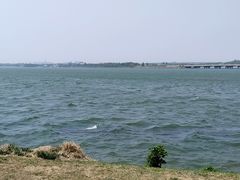 -丁香湖公园