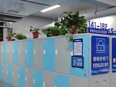 -河南省体育场馆中心游泳馆