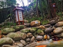 -三江森林温泉度假区