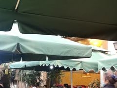 景观位-川道拐耗儿鱼(旗舰店)