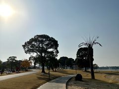 -上海月湖雕塑公园
