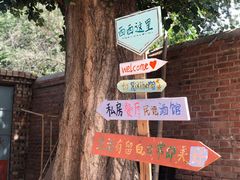 -西西这里民谣酒馆