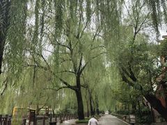 -天赐温泉