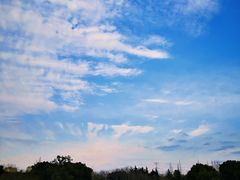 -昆山城市生态森林公园