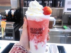 -极拉图·现制冰淇淋(大卫城店)