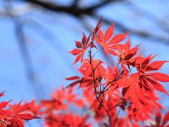 -苏州河梦清园环保主题公园