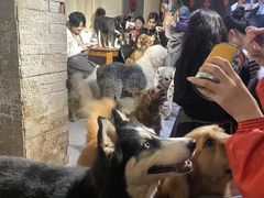 -萌喵咖啡屋(人民东路4号口M16商铺店)