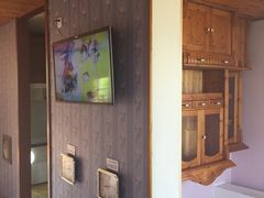 -金山农民画村-枫泾波兰倒置屋
