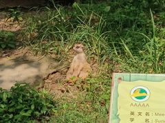 -上海野生动物园