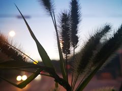 -新碧水留香新桑拿