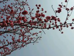 -保利·新九寨宾馆