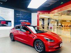 -TESLA 特斯拉(郑州正弘城体验店)