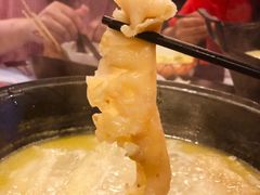 -鲜入围煮花胶鸡海鲜火锅