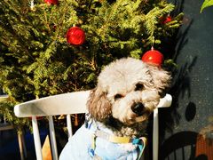 -咖星人E·T coffee·云赛空间