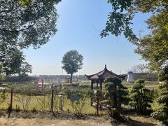 -武汉紫薇都市田园