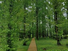 -国家植物园南园