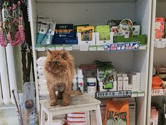 -悦宠凯宝动物医院·牙科·皮肤科(朝阳北路店)