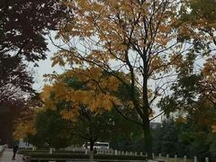 -江南大学(蠡湖校区)