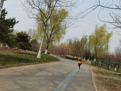 -永定河休闲森林公园