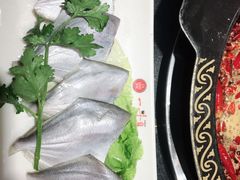 鲳鱼-一斗火锅·招财羊毛肚(泰吉滨江店)