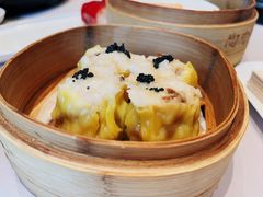 墨鱼籽香菇烧卖皇-陶陶居酒家(第十甫路总店)