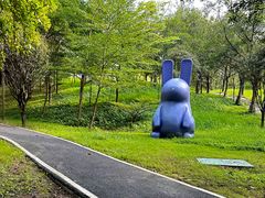 -森波拉奇妙世界