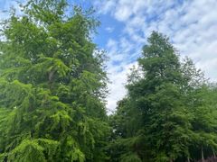 -上海海湾国家森林公园