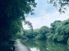 -西溪国家湿地公园