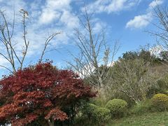 -云漫湖生态度假公园