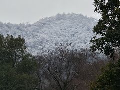 -灵顺寺