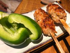 烤鸡肉-TINY