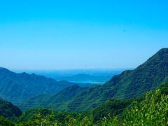 -大岭沟猕猴桃谷风景区