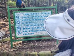 -燕塞湖鸟语林景区