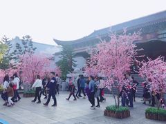 -厦门方特梦幻王国