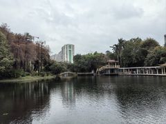 -晓港公园