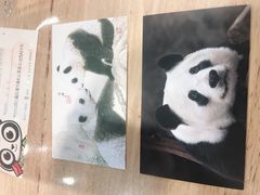 -熊猫邮局(少城店)