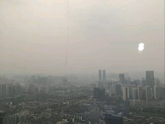 -339旋转餐厅(天府熊猫塔店)