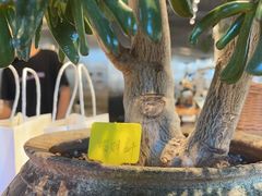 -珺可咖啡(恩菲科技大厦店)