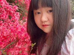 -木兰云雾山